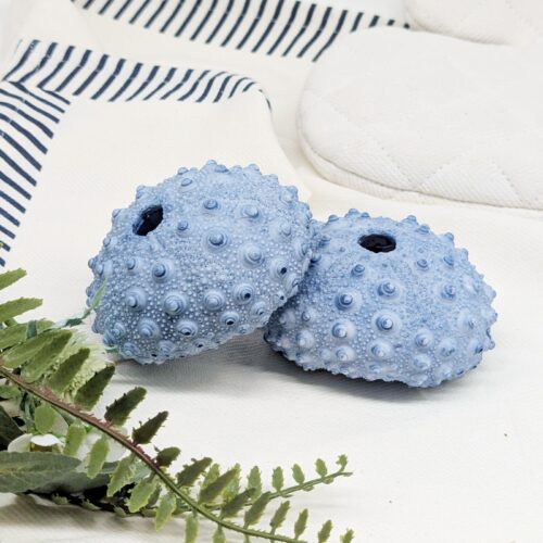Blue Sea Urchin Coral Ornament