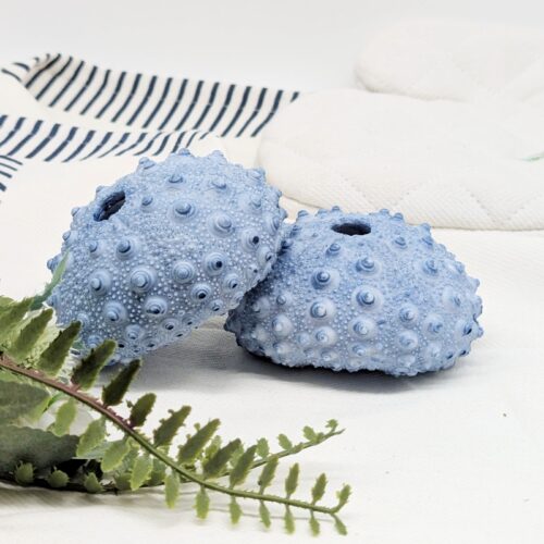 Blue Sea Urchin Coral Ornament